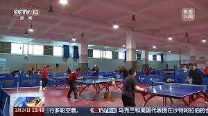 乒乓球台是什么材质的最好